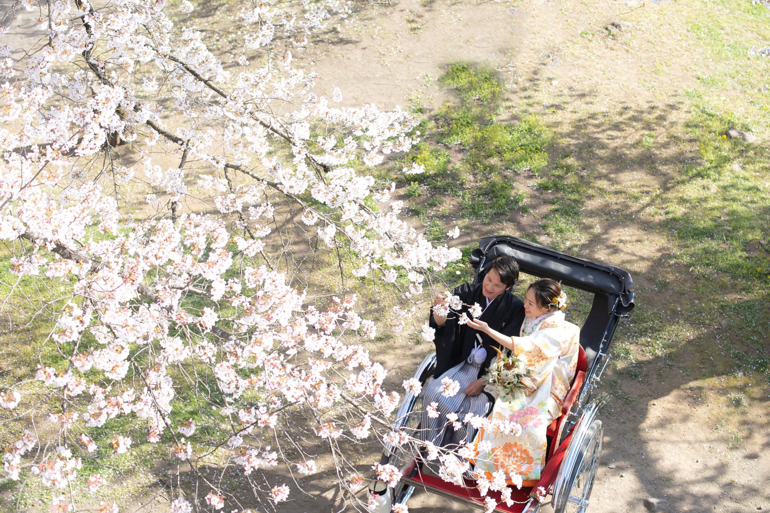 桜の時期が始まります🌸